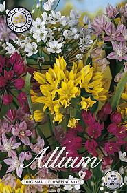 Allium Smallflowering Mixed x100 5/6