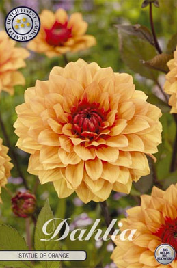 Dahlia  Deco. Statue of orange x1 l .
