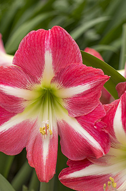 10314 exposure 30 32 23745