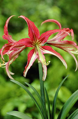 10316 la paz 24 26 3272