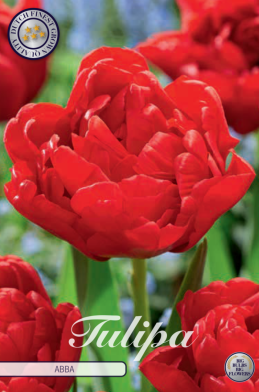 522 dutch label 1544