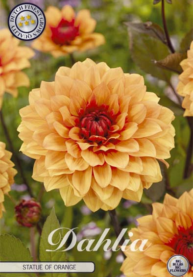 Dahlia  Deco. Statue of orange x1 l .