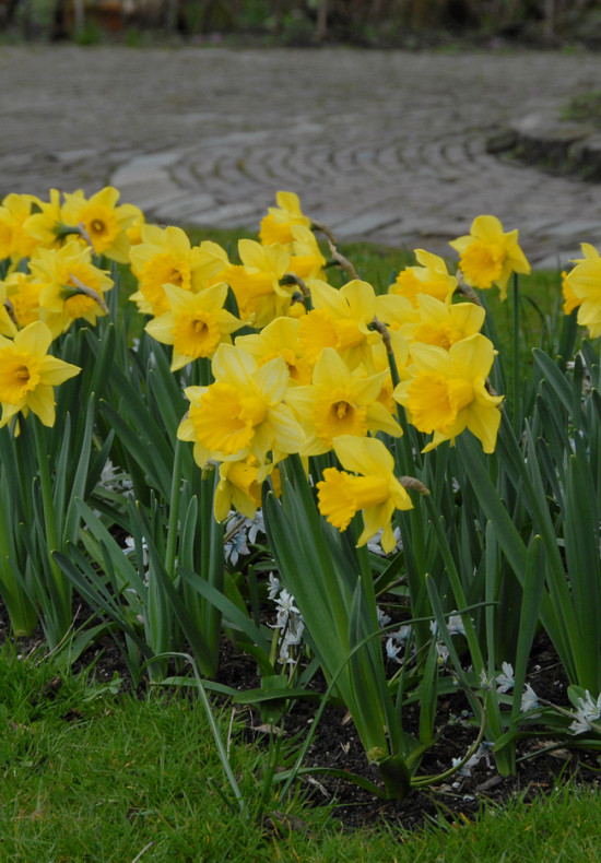 Early Sensation 12/14